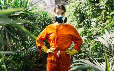 Effective Beetle Control in Queens NYC: Prevention, Natural Remedies, and Professional Extermination